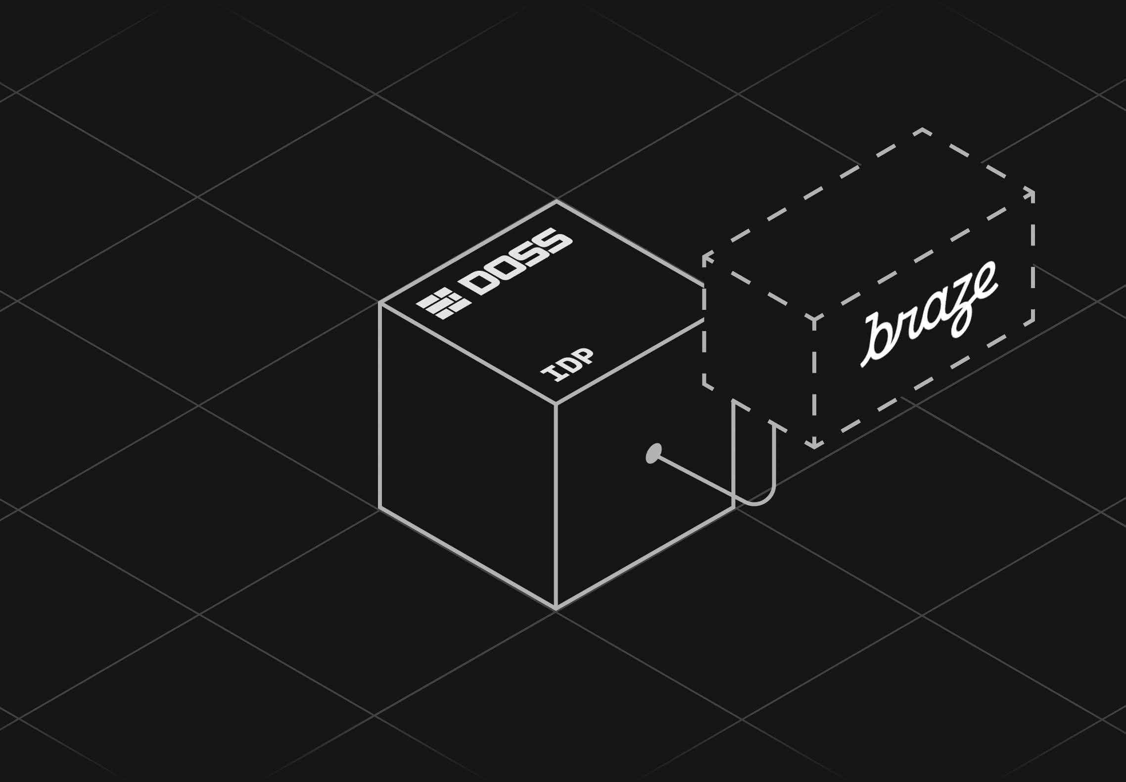 Braze ERP Integration with DossARP